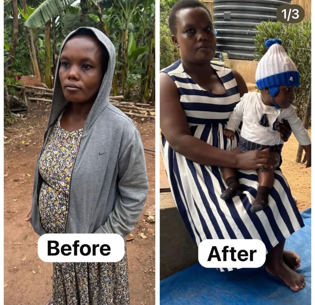 Sylvia Transformation